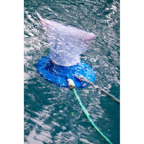 Pool Leaf Vacuum Bag with Secure PullLock Cord, Fine Mesh for Universal Fit Pool Cleaner 1