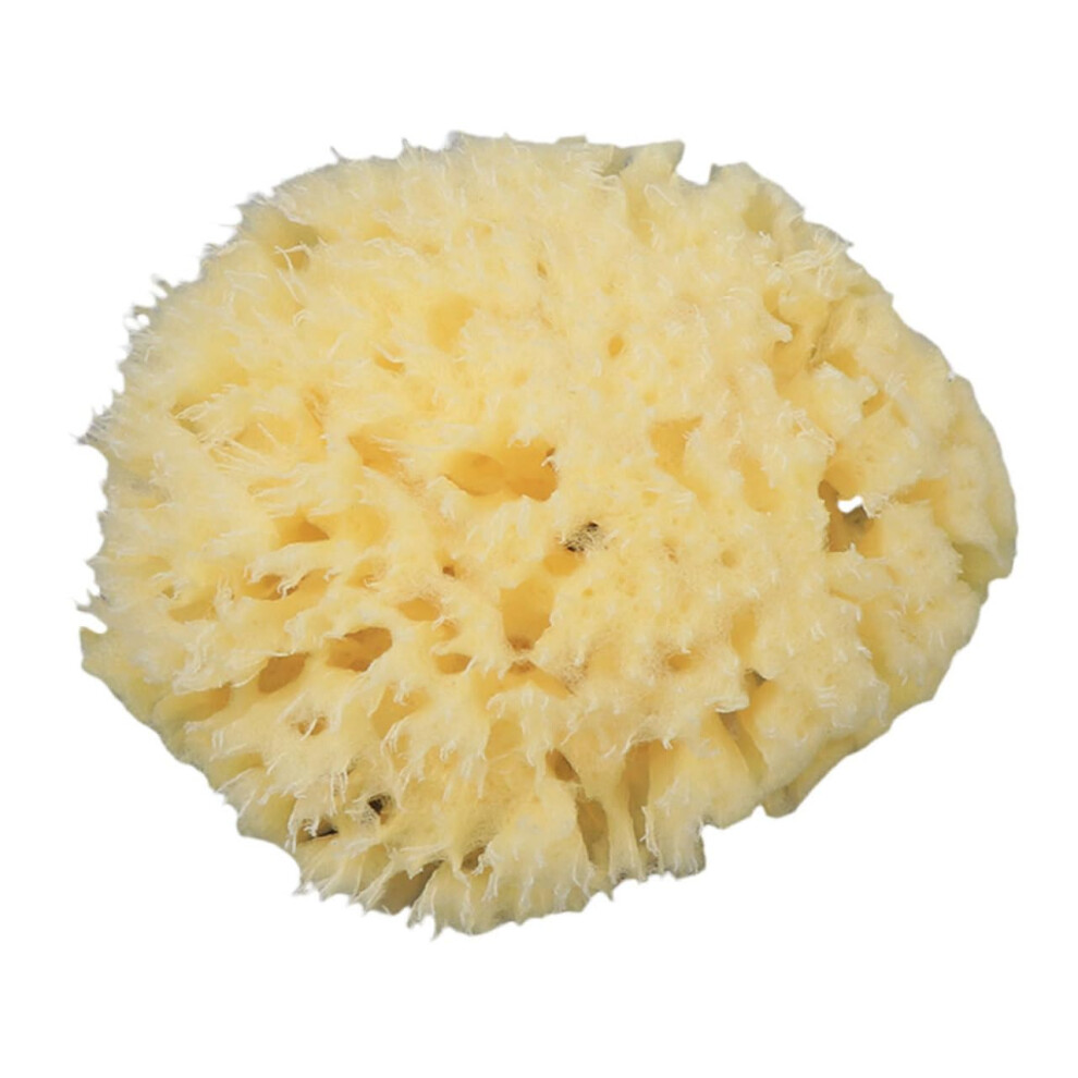 Bath Sponge with Rich Foam and Gentle Skin Exfoliation, Soft Shower Scrubber for Women