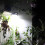 Solar Motion Sensor Wall Light with TypeC Charging, Waterproof Outdoor Deck Lamp, Adjustable White Warm Light, 2 or 4 Pack 4