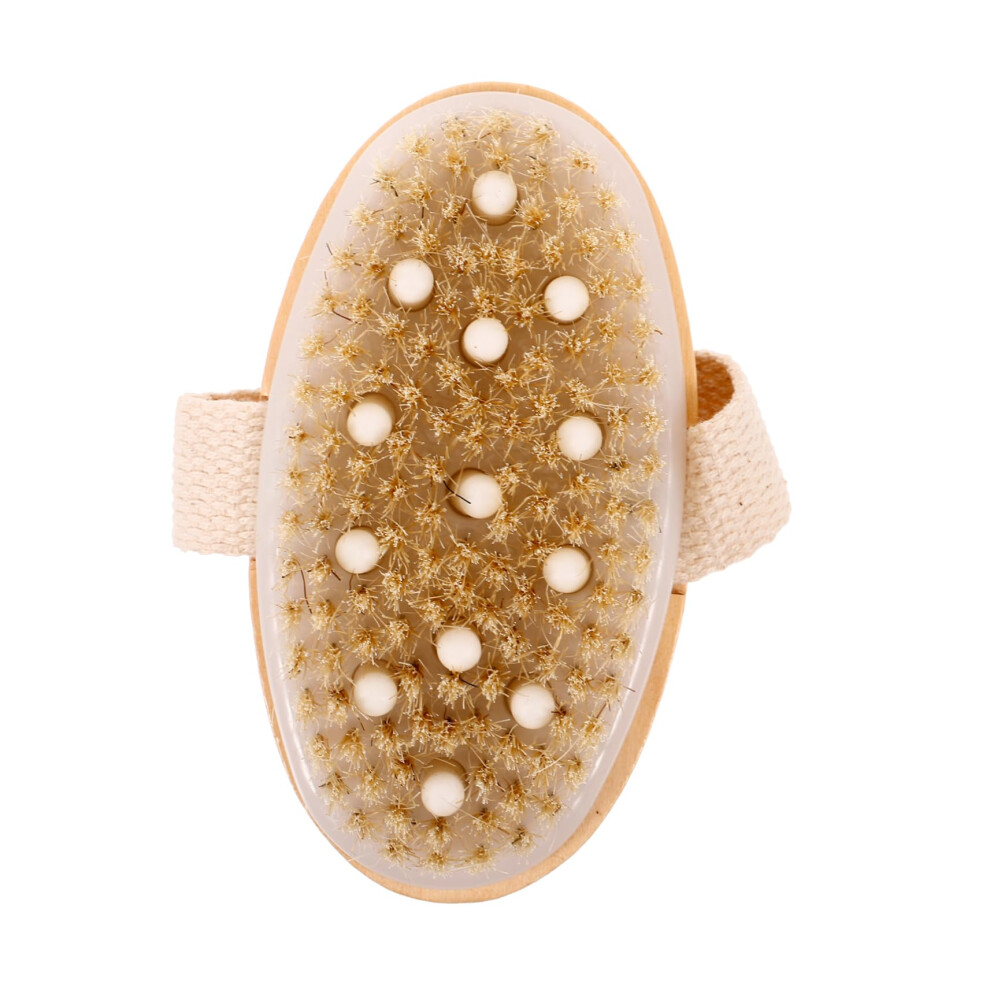Shower Brush with Soft Bristles for Gentle Exfoliation and Back Cleaning Body Scrubber