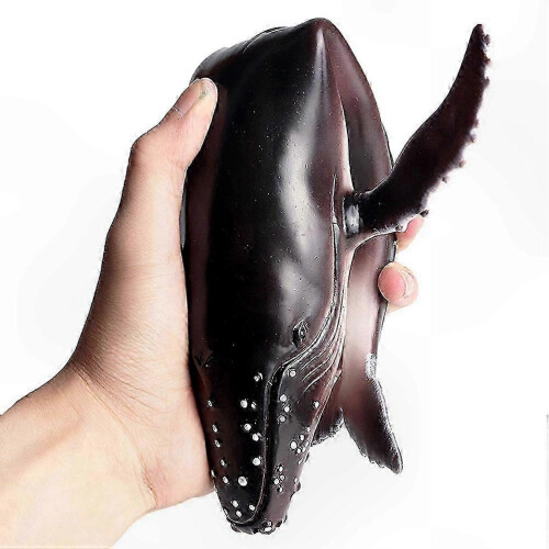 Ocean Creature Models Val, Haj och Knölval: Pedagogiska lekset för barn 2