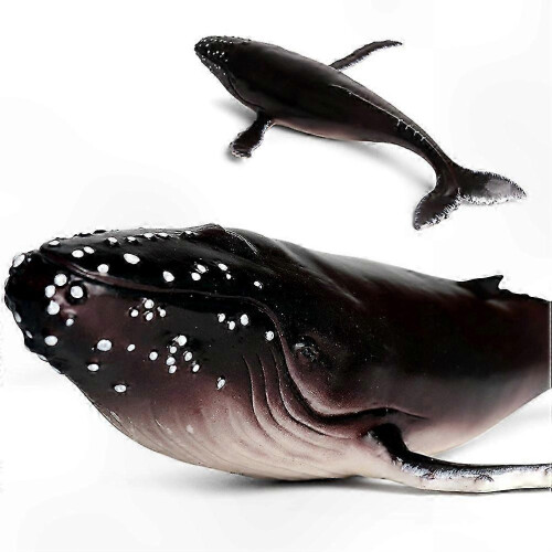 Ocean Creature Models Val, Haj och Knölval: Pedagogiska lekset för barn 1
