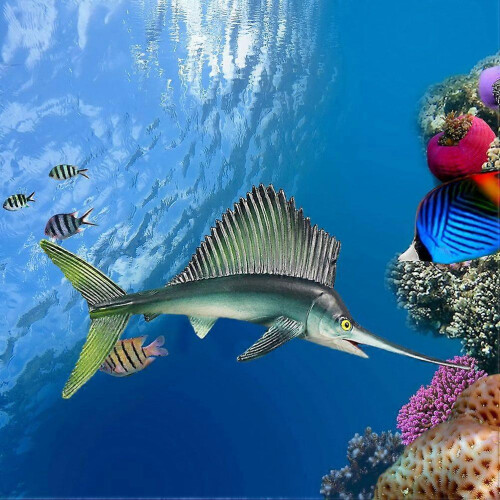 Υψηλή προσομοίωση Shortnose Sper-fish Animal Model Διακόσμηση θαλάσσιου οργανισμού για παι 2