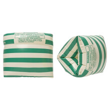 Swimming Arm Bands for Kids and Adults, Vintage Striped PVC Swim Floaties, Green, Ages 312