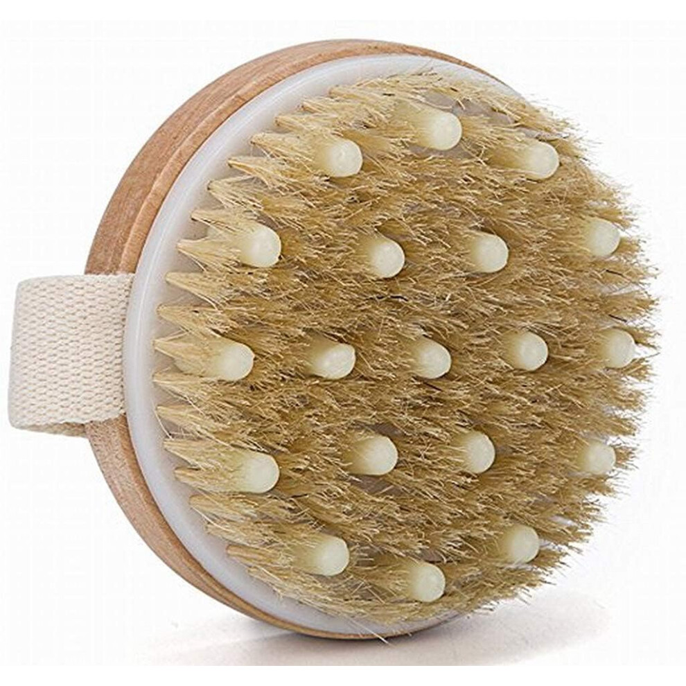 Dry Body Brush with Long Wooden Handle, Natural Bristles for Exfoliation and Skin Massaging