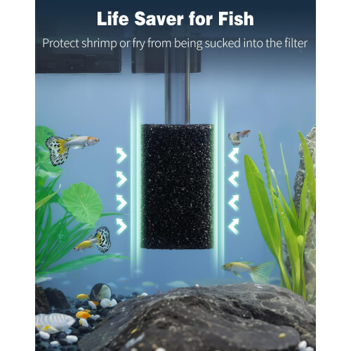 6 Pack Aquarium Filter Sponge PreFilter, Density Foam Protects Small Fish and Traps Debris 2