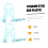 Ear Piercing Kit 10pcs Painless Single Use Tool with Studs for Earlobes and Home Use 5