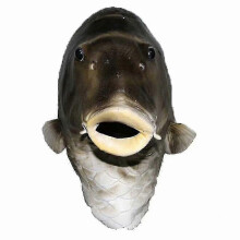 Schwarze Fischmaske Latex Tierkopfmaske Grauer Fischkostüm Kopfbedeckung Maskerade Party Erwachsene