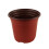 (A) 100PC Seed Starting Pot Flower Plant Container For Succulents 1