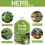 Vitax Vitax Liquid Herb Feed 500ml Seaweed Enriched Formula 3