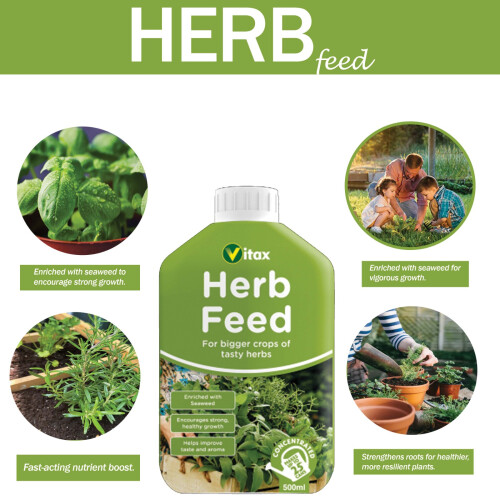 Vitax Vitax Liquid Herb Feed 500ml Seaweed Enriched Formula 2