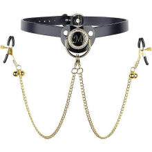 Ball Gag Nipple Clamps with Chain s Mouth Gag with Adjustable Metal Nipples