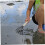 Clam Rake with Mesh Net, Ergonomic Wooden Handle, Lightweight Iron Tines for Beach Shellfish Digging 4