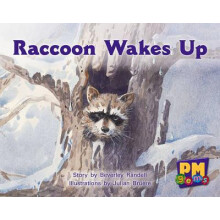 Raccoon Wakes up by Beverley Randell Paperback Book