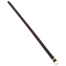 Belt Brown For Men Classic Coffee 1pcs Adjustable Daily Wear