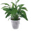Blumentopf Metallblumeneimer Eiseneimer Eiseneimer 4