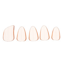 5Stk Orange Guzheng Nagelspitzen Für Saiteninstrumente Ergonomisch PVC