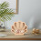 Khaki Holz Displaybox Vielseitiger Holz Schattenrahmen 4
