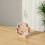 Khaki Holz Displaybox Vielseitiger Holz Schattenrahmen 5