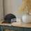 10Pièces Support Intérieur Baseball Cap Clair PVC Présentoir Chapeau 4