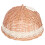 1Wicker Refreshment Dome, En Stijlvol Voor Desserts En Cake 2