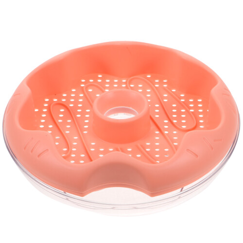 De Culture Hydroponique Rose Pour À Chat Pratique 2
