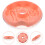 De Culture Hydroponique Rose Pour À Chat Pratique 4