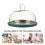 1Set Keramik Kuchenplatte Mit Glasdeckel Bunt Snack Teller Abdeckbar 10