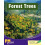 Forest Trees by Sally Cowan Paperback Book 1