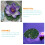 10Pcs Durable Eva Floating Lotus Leaf Ornament for Fishpond Decor 11