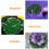 10Pcs Durable Eva Floating Lotus Leaf Ornament for Fishpond Decor 9