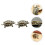 2Pcs Creative Brass Turtle Adornments Durable Golden Desktop Figurines 5