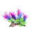 Plantes En Décor Aquatique 1