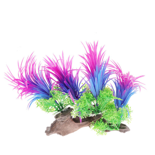 Plantes En Décor Aquatique