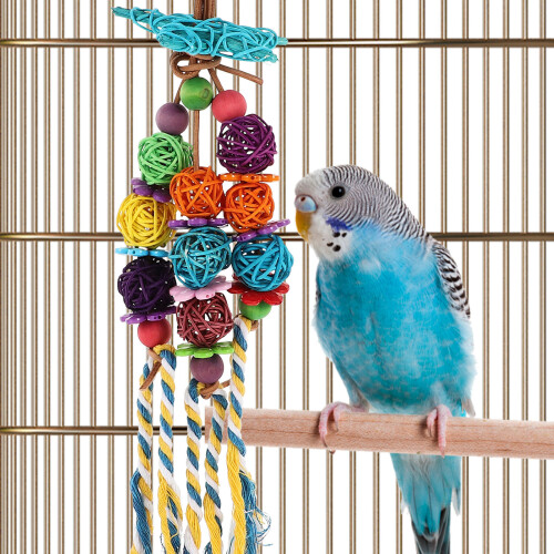 Parrot Hanging Stand 1pcs In Assorted Colors For Macaw 2