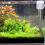 3Pcs Fish Tank Feeding Circle PP Acrylic Suction Cup Floating Feeder 11