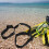 Diving Tools Tank Carrier Polyester 1set 4