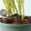 100Pcs Plastic Fertilizer Boxes For Flowerpots Reusable Bonsai 8