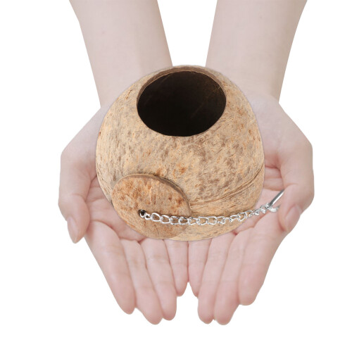 D'oiseau En Bois Pour Petits Oiseaux