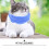 Blue Multi-Function Dog Snood Elastic Warm Pet Earmuff 9