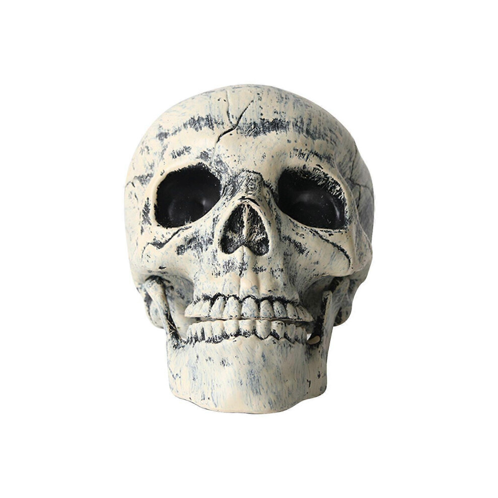 (As Show, One Size) Halloween Realistic Skull Skeleton For Head Hands And Legs Feet Graveyard Decora 3364096770078