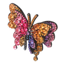 Bunter Schmetterling Schuh Schließe Strass Dekor Für High Heels