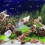 Fish Tank Mute Aquarium Wave Machine Plastic 9