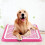 Dog Litter Boxes Practical Litter Basin For Home Use 1set 6