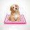 Dog Litter Boxes Practical Litter Basin For Home Use 1set 3