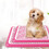 Dog Litter Boxes Practical Litter Basin For Home Use 1set 11