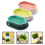 6 Pcs Practical Cat Plant Box For Household Cat Grass Growing 11