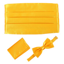 1Set Elegante Gele Cummerbund Strik En Pochet Set Voor Heren Feest