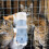 500ml pet feeder cat water bowl automatic dispenser detachable 8