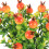 Artificial Pomegranate Branches For Home/Office Decor 10